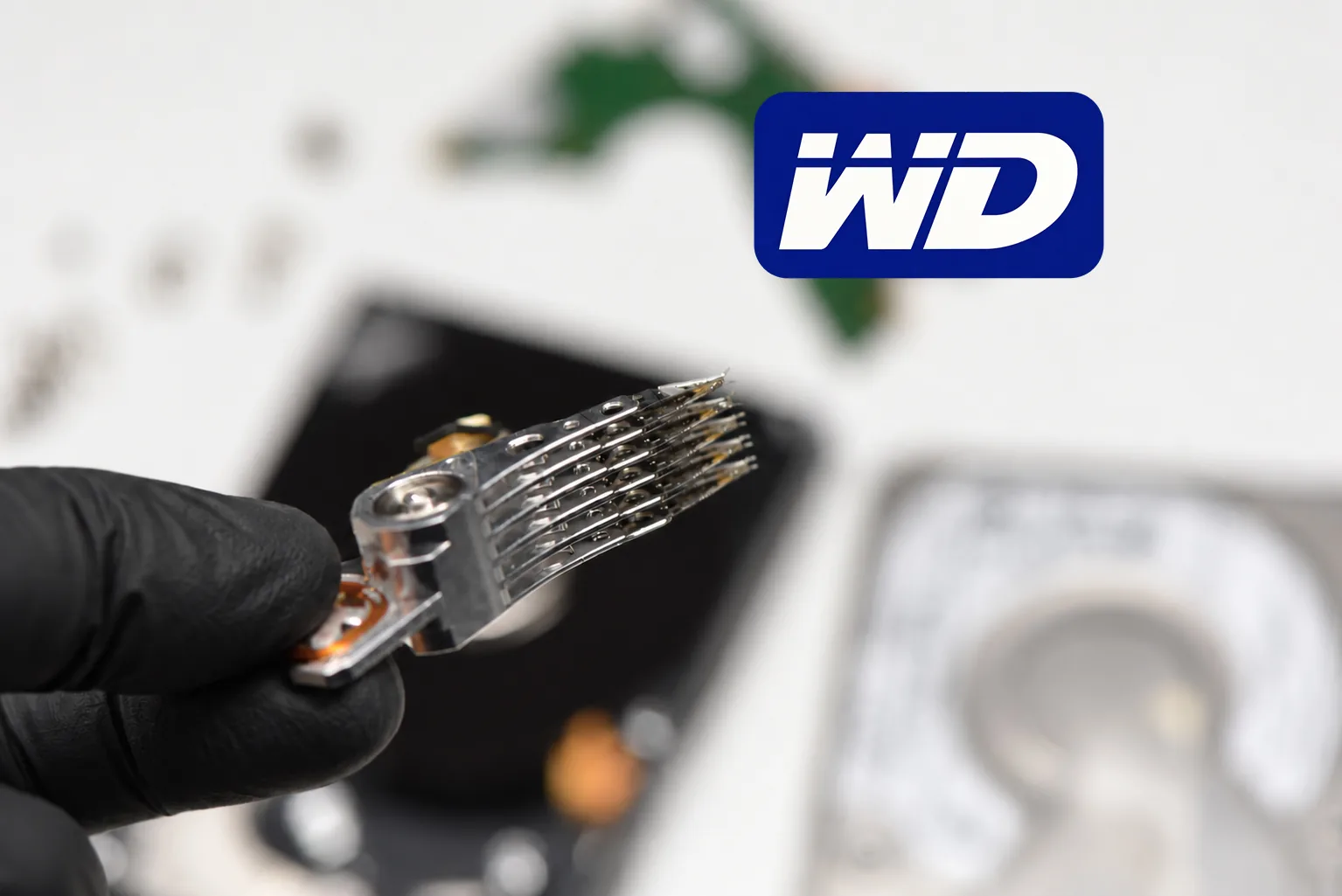 Hard drive head assembly held in a black lab glove during Western Digital recovery work