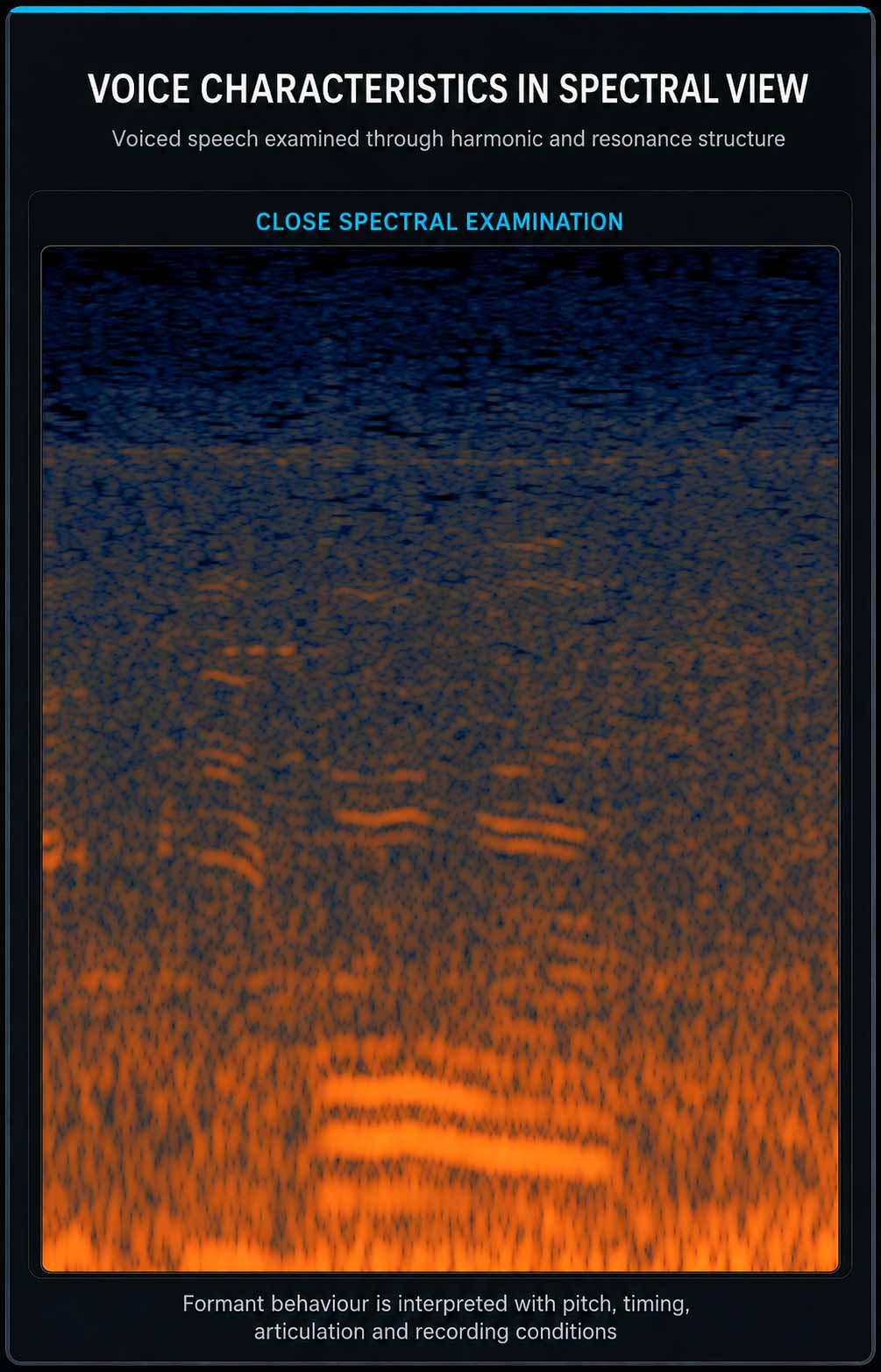 Close spectral view of voiced speech showing harmonic structure and resonance bands